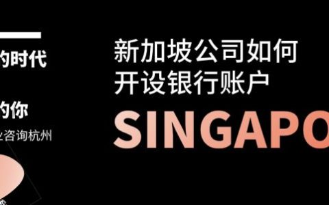 新加坡公司如何开设银行账户？(芜湖新加坡公司开户选择)