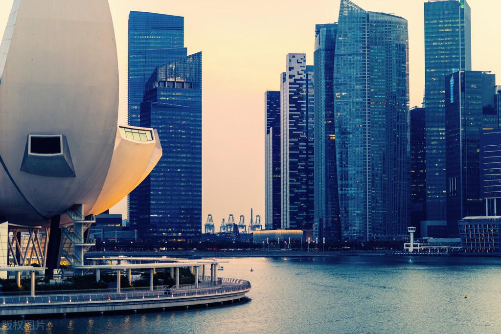 新加坡媒体：RCEP生效 企业可享约92％关税减免(新加坡公司享受税收协定)