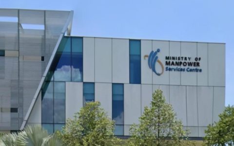 新加坡政府将开放所有领域工作准证和S准证申请来源(新加坡 开公司 准证)