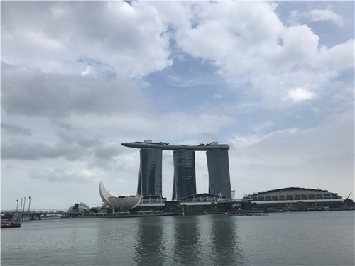 留学新加坡会计专业必备条件(新加坡公司会计审计介绍)