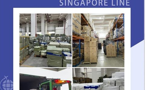 新加坡海运清关时交GST税，什么是GST?(昆明新加坡公司交税比例)
