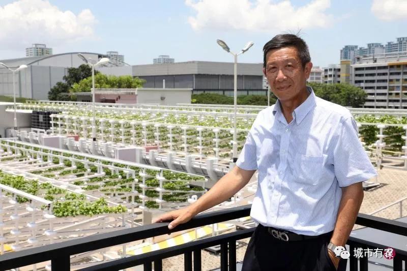 新加坡重视农业科技发展，对中国农业有何启示？(新加坡蔬菜水果公司)