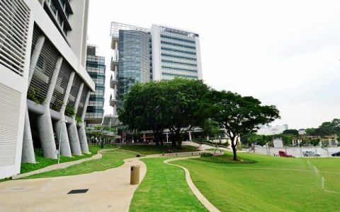 工作后如何申请新加坡留学吗？(苏州新加坡移民办理公司)