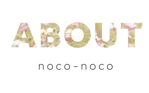 3DOM Singapore发布新公司名称“noco-noco”