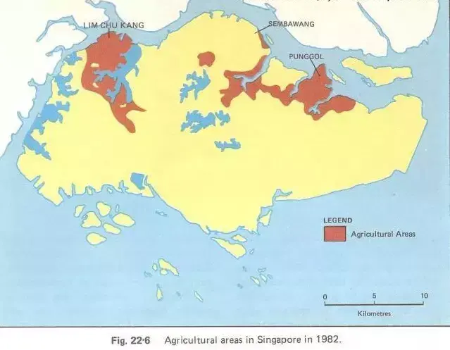 新加坡的老地理课本，看着怎么像历史书？(新加坡花拉公园附近公司)