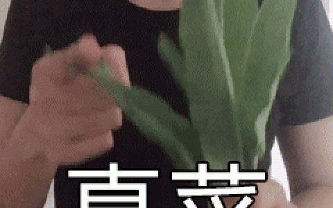 新加坡总人口少，为何两所大学实力优秀？(新加坡金融公司好吗知乎)