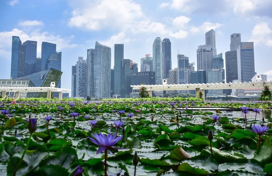 企望会 | 新加坡家族办公室的首选地之一除了税收优惠之外(新加坡成立公司的资金要求)
