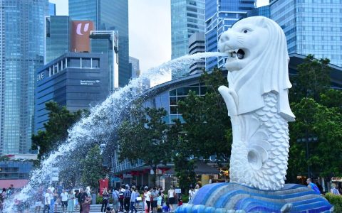 「国别概况」快速了解新加坡–投资环境(新加坡印度最大的外资公司)