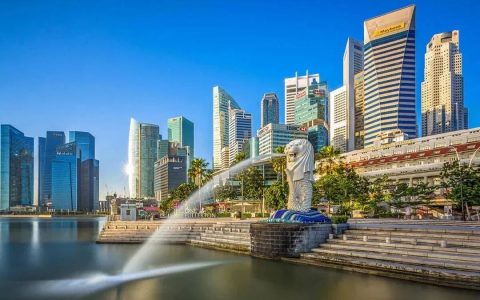 新加坡公司注册指南与年审攻略，为什么都去新加坡注册公司？(新加坡公司年度申报表)