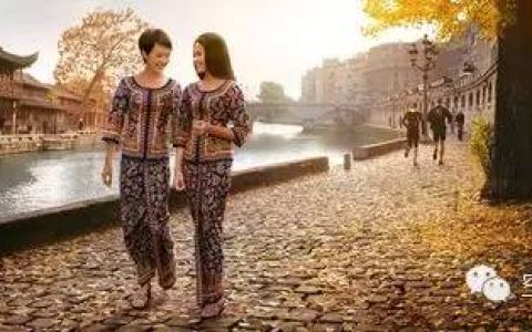 空乘知识（干货）——阿联酋航空、新加坡航空、荷兰皇家航空各自有什么优势劣势？(如何面试新加坡航空公司)