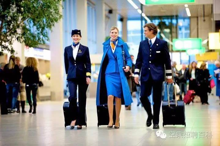 空乘知识（干货）——阿联酋航空、新加坡航空、荷兰皇家航空各自有什么优势劣势？(如何面试新加坡航空公司)