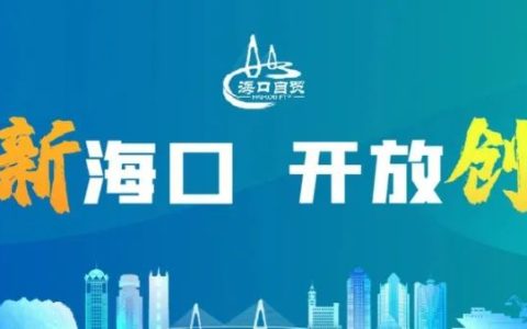 海南自贸港货物贸易增速高于迪拜、新加坡！这份报告信息量巨大→(在新加坡做贸易公司)