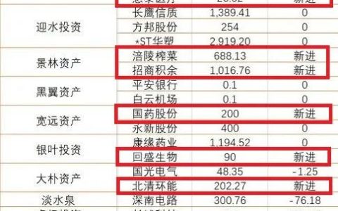 顶级私募基金大佬重仓了哪些股票（附个股名单）(新加坡顶级私募基金公司)