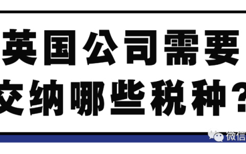 公认税率低的英国，注册的公司需要交纳哪些税种？(东莞新加坡公司税率是多少)