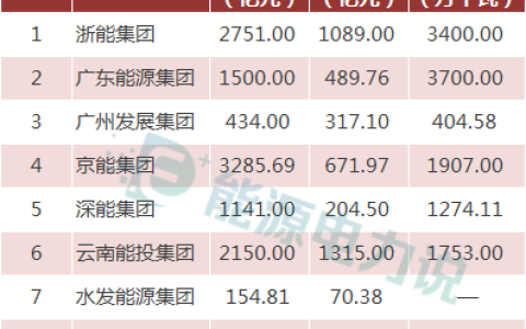 十大地方能源集团大揭秘！(新加坡可以成立能源公司嘛)