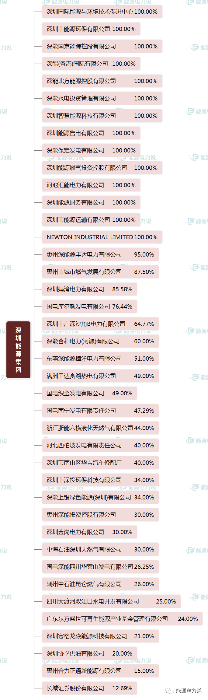 十大地方能源集团大揭秘！(新加坡可以成立能源公司嘛)