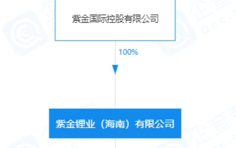 上市公司在海南丨20亿元！紫金矿业海南公司在西藏投资成立锂业子公司(紫金矿业 新加坡 子公司)