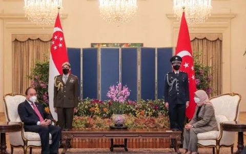 越南和新加坡发表联合声明(新加坡公司能去越南吗吗)