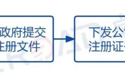 安圭拉公司注册优势、办理流程及如何合规运营(新加坡公司注销流程图)