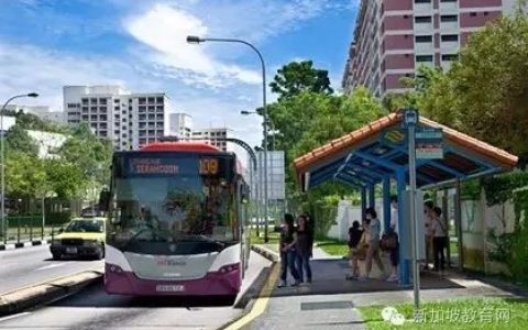 全民关注：新成立的新加坡巴士学院，未来交通安全更具保障？(成立新加坡公司收费多少)
