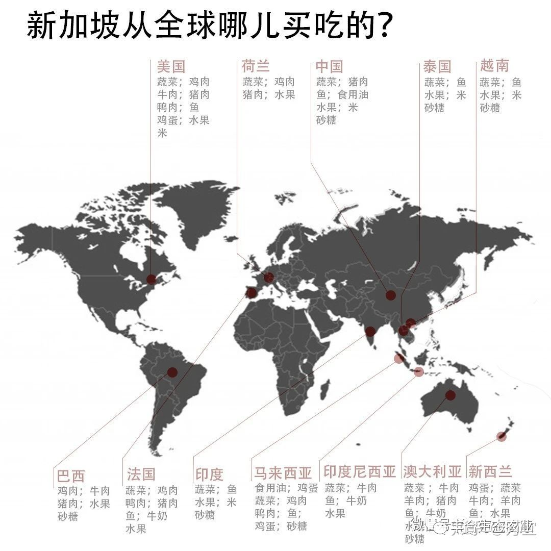 新加坡正在举国推行全民种菜活动(新加坡水果蔬菜种植公司)