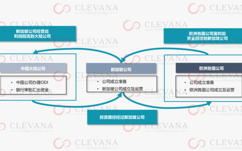 ODI备案投资路径选择：经新加坡投资欧洲子公司(新加坡政府投资公司 招聘)