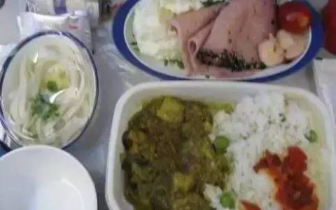 出国游一定得选这几家航空！飞机餐好吃到哭！(新加坡餐具海运有哪些公司)