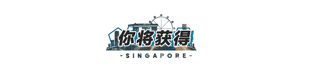 新加坡世界500强金融研习招募开启，在全球最宜居的花园城市里体验年薪百万的感觉！(新加坡金融公司工作好吗)