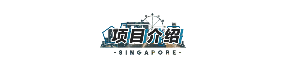 新加坡世界500强金融研习招募开启，在全球最宜居的花园城市里体验年薪百万的感觉！(新加坡金融公司工作好吗)