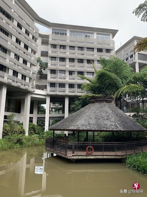 推崇开放文化的新加坡大学建筑之趣(新加坡建筑师公司招聘)