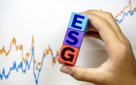 香港、新加坡ESG中心争夺战：资管机构投资ESG产品既喜又忧(新加坡传统文化基金公司)