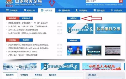 国税总局的59份国别税收投资指南在此下载！(新加坡公司税务指南下载)