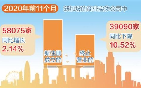 2020年新加坡新注册公司数量逆势增长(永科新加坡有限公司)