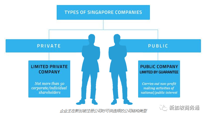 注册公司时到底该如何选择公司类型？新加坡公司种类大汇(跨国企业新加坡分公司)