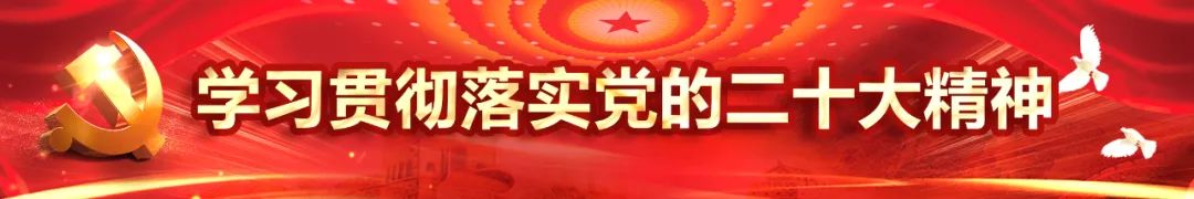 傅盛炎：中国企业在国际航运中心新加坡的投资发展有其独特优势(新加坡海运公司宣传片)