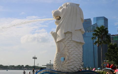 快看｜三家中外资机构在沪集体开业，贝莱德基金为国内首家外资独资公募(新加坡合资贸易公司有哪些)