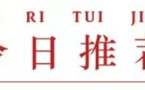 实务 I 看透这些财务造假乱象，做审计才更有方向！(新加坡公司账务审计怎么做)