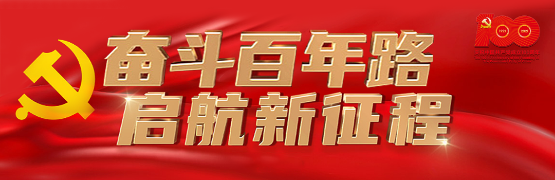 国际陆海贸易新通道推动地区产业链、供应链更具韧性 ——东博社独家专访新加坡共和国(新加坡陆海贸易公司)