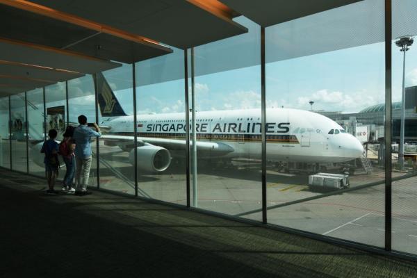 调查显示全球航空公司过半飞行员停飞(新加坡航空公司创办人)