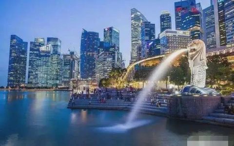 新加坡公司年审如何做？能不能进行转年审？(新加坡公司需要做什么业务)