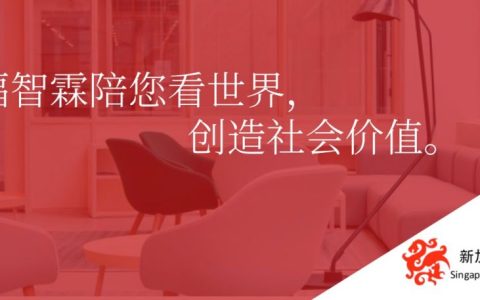 【新加坡公司注册小知识】什么人可以做新加坡公司董事？看这里！(新加坡人怎么注册公司网站)