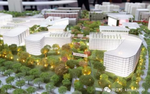 定了！新加坡首个“智慧城市”在这里，全方位颠覆你的生活！(新加坡电力公司在哪里上班)