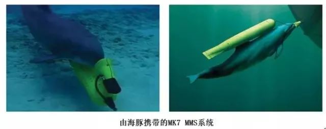 美军部分军用和特种水下机器人的技术系统(新加坡军用武器装备公司)