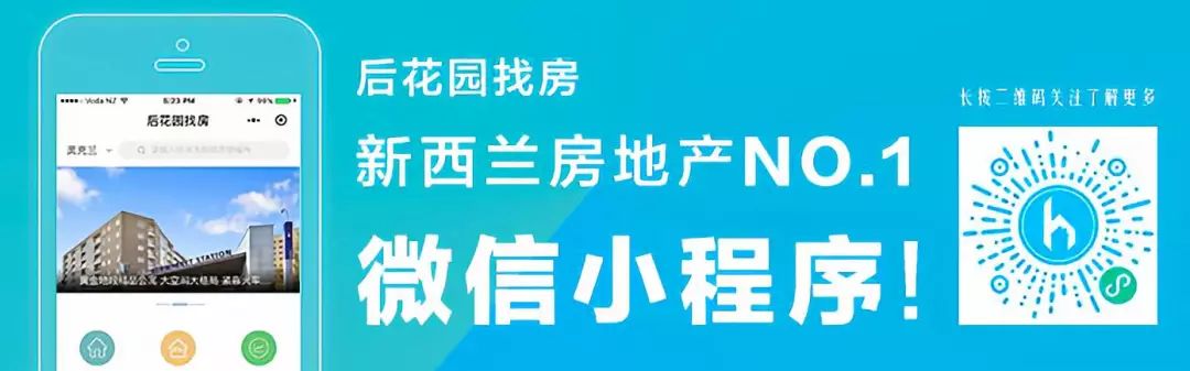 看完惊呆了！新西兰议员收入VS普通老百姓收入，差距竟然有这么大……(新加坡贸易公司部长年薪)