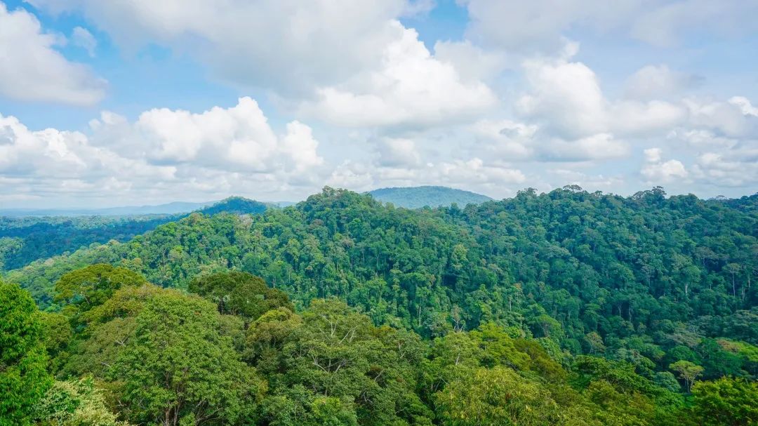 离岸公司 | 石油富国 —— 文莱公司注册(景德镇新加坡公司注册条件)