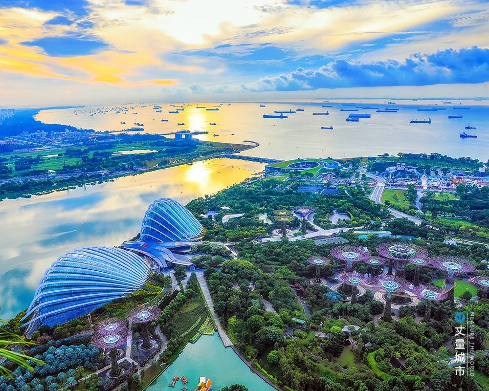 新加坡是如何将绿化从“好看”转向“好用”，成为吸引创新人才聚集的“秘密武器”？(新加坡无所不在的绿化公司)