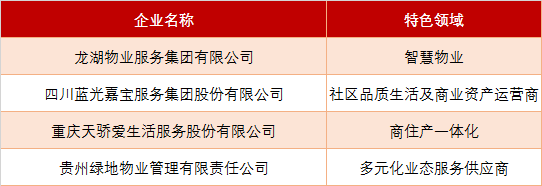 新物业时代，西南物企的百强跨越之路(新加坡优秀物业公司名单)