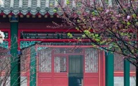 周其仁：迪拜、新加坡、纽约，或能成为上海的“老师”(新加坡比较有名的金融公司)