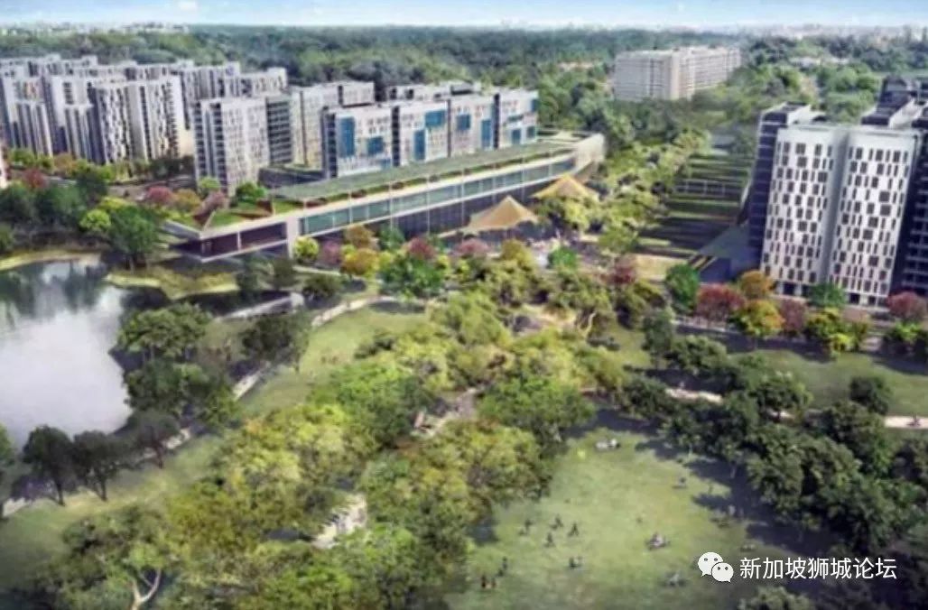重磅：新加坡未来两年房地产市场预期走向分析(新加坡房地产市场公司地址)