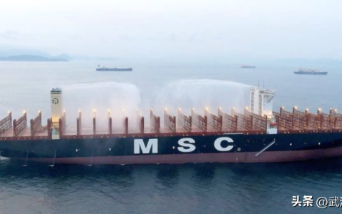+12艘！世界班轮老大MSC, 又扩张了！订单总量200万TEU(新加坡船运公司的船怎么样)